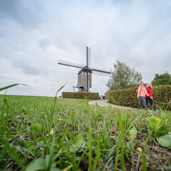 Ein Wahrzeichen von Titz: Die Düppelsmühle.